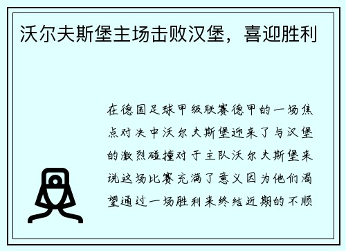 沃尔夫斯堡主场击败汉堡，喜迎胜利